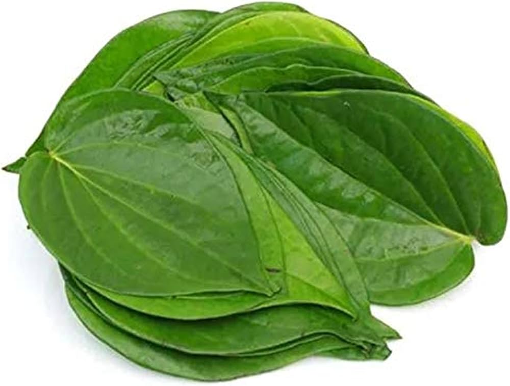 Paan / Betel Leaf