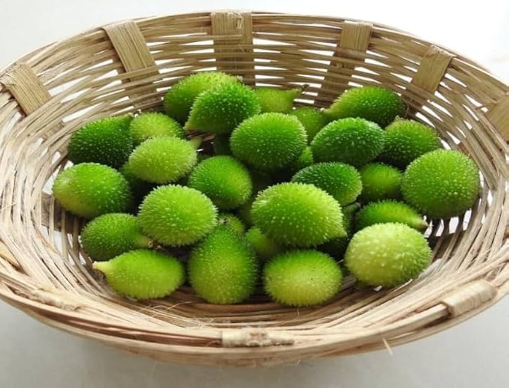 Kakrol/Spiny Gourd