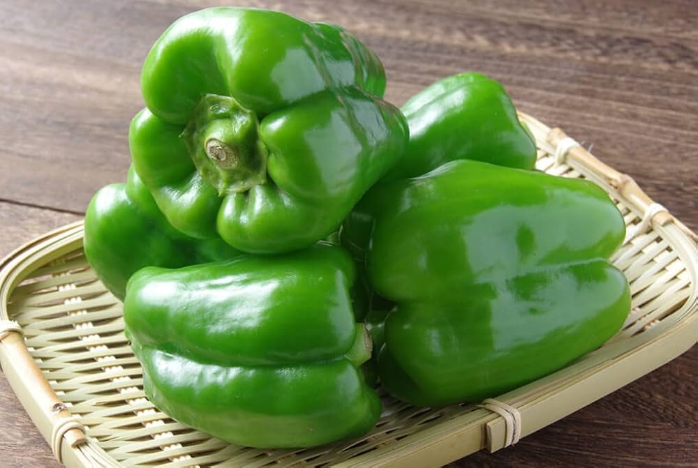 Capsicum Green