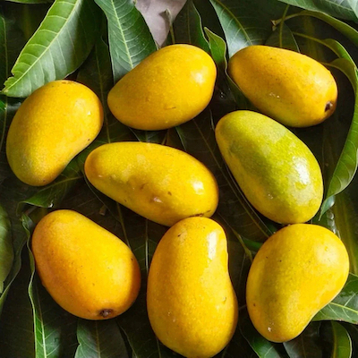 Mango Amrupali