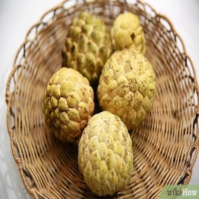 Custard Apple