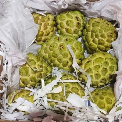 Custard Apple Indian