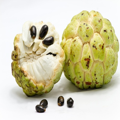 Custard Apple Indian