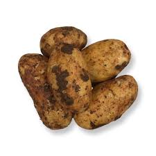 Cyprus Potato