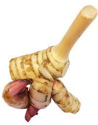 Galangal PP