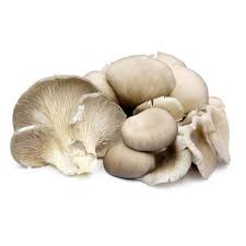 Oysters Mushroom PP