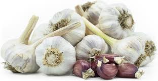 Garlic Spanish