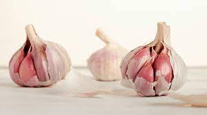 Garlic Spanish