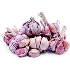 Garlic Spanish