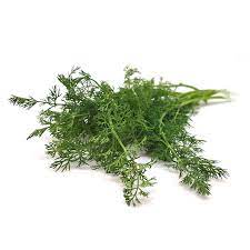 Dill