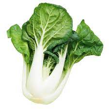 Pak Choi