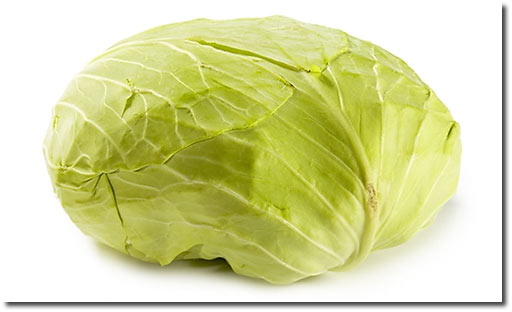 Turkish Cabbage