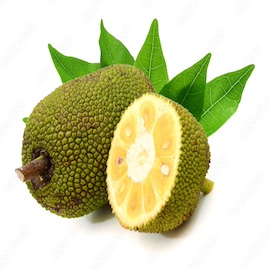 Kathal / Jackfruit
