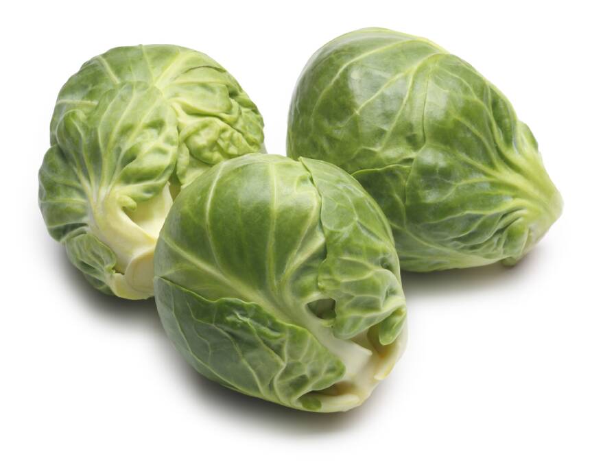 Small Cabbage