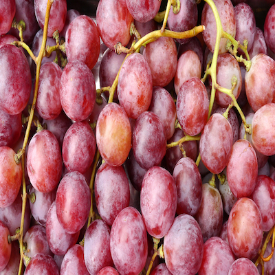 Red Grapes PP