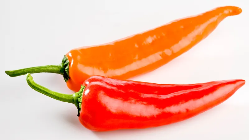 Red Capya Chilli PP