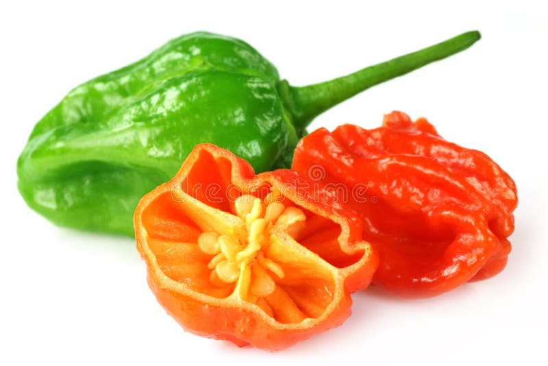 Naga Morich