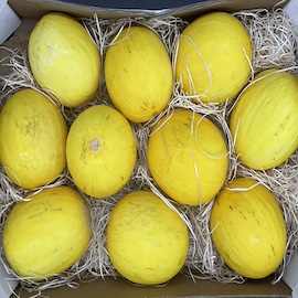 Yellow Melon