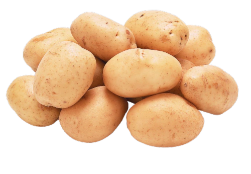 Potato White PP