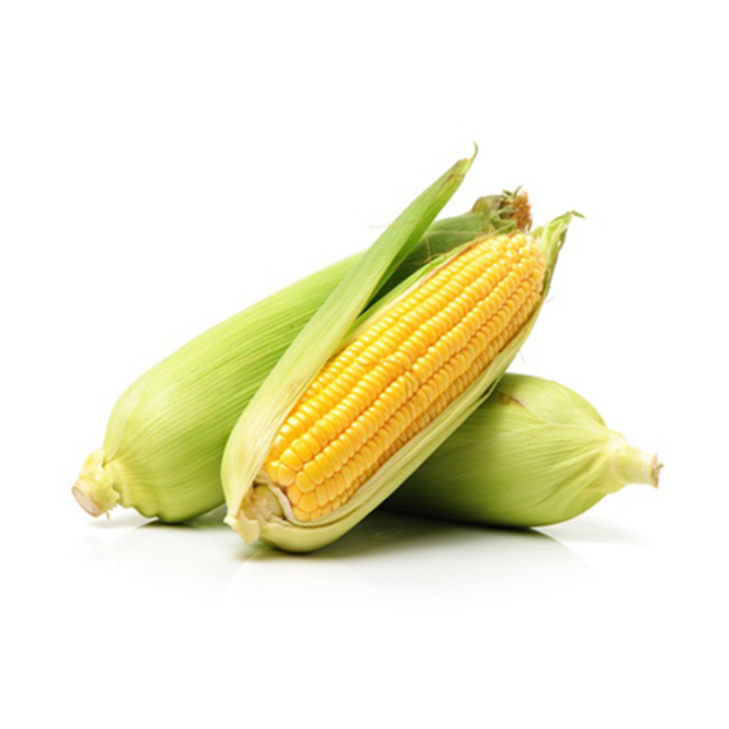 Sweet Corn