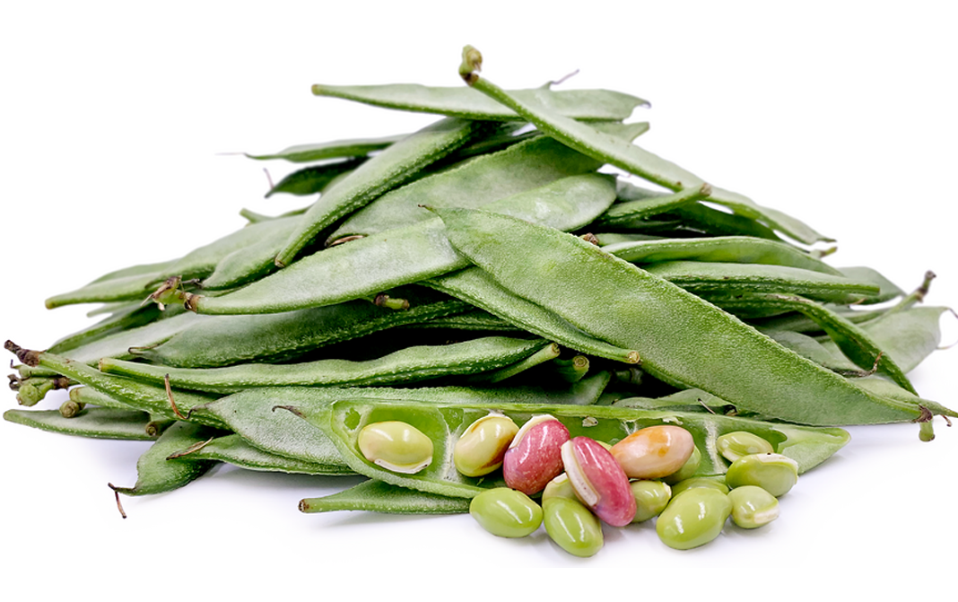 Papri Beans
