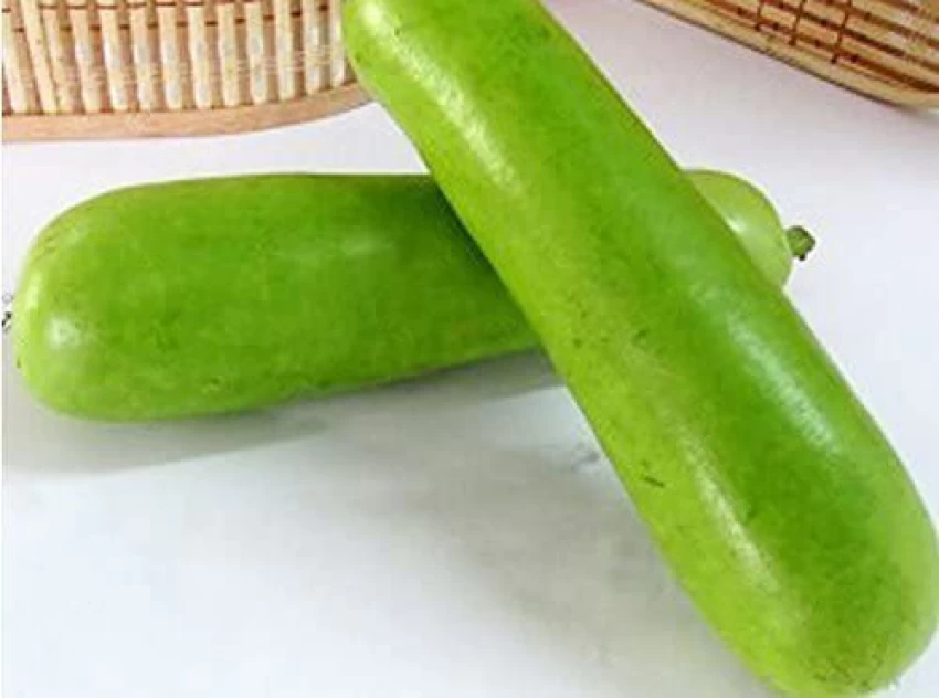 Kodu / Gourd