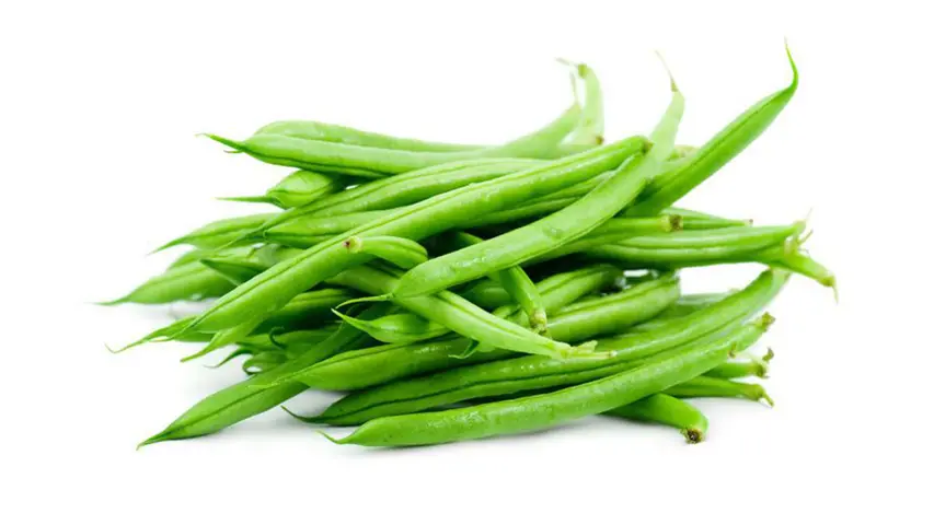 Forash Bichi / French Bean