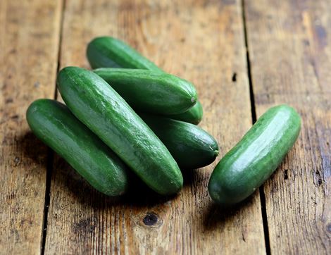 Mini Cucumber