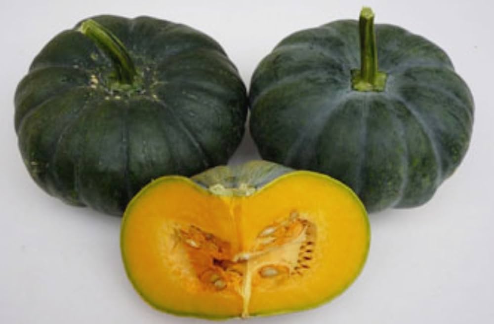 Pumpkin Green