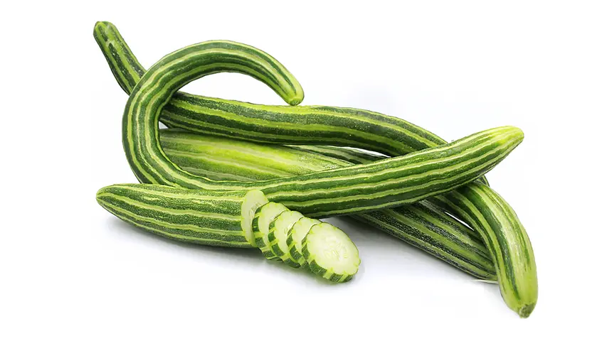 Kohi / Snake Gourd