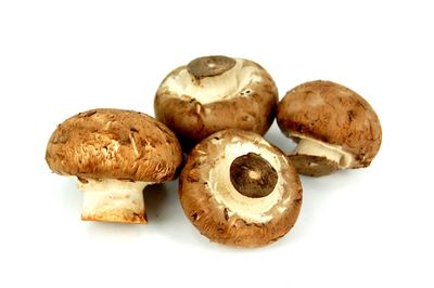 Mushroom