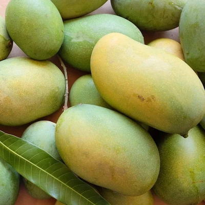 Mango Amrupali