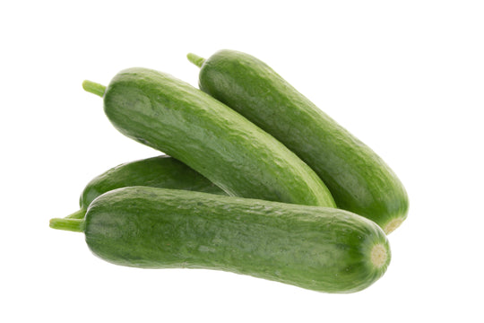 Mini Cucumber