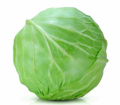 Large Cabbage