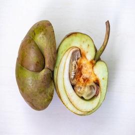 Chalta / Elephant Apple
