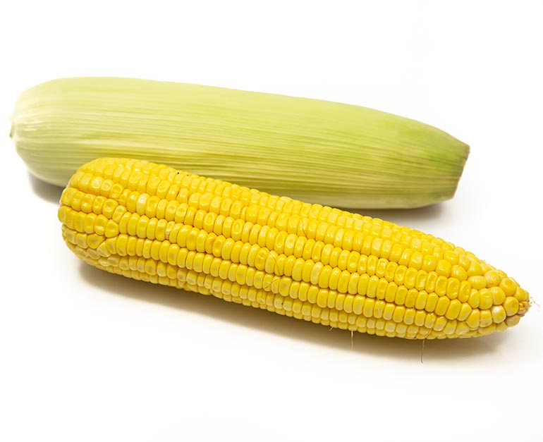 Sweet Corn
