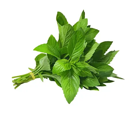 Mint