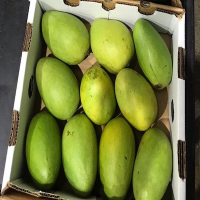 Dominican Mango