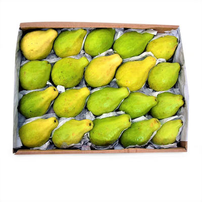 Guava Egyptian