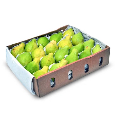 Guava Egyptian