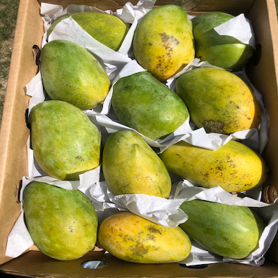 Egyptian Mango
