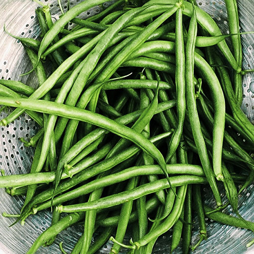 Forash Bichi / French Bean