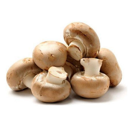 Mushroom