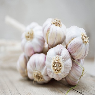 Garlic 20s