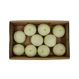 Galia Melon