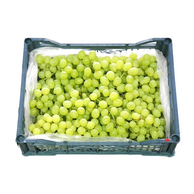 White Grapes