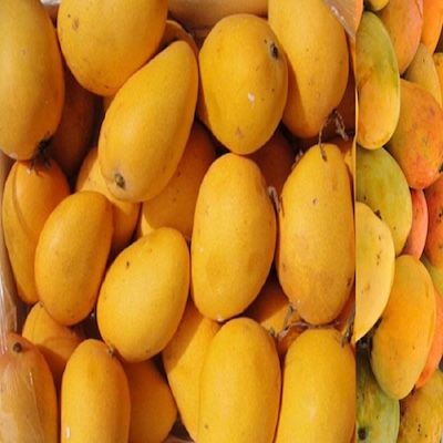Mango Haribhanga