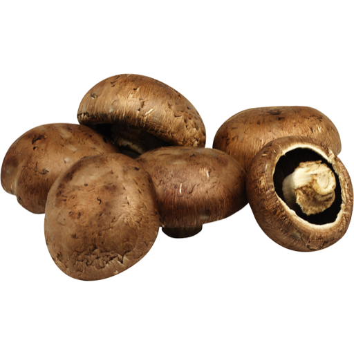 Mushroom