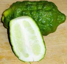 Ada Lebu
