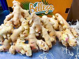 Ginger